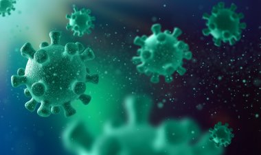 ڤایرۆسە زەبەلاحەکان