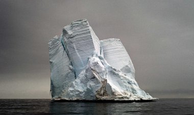 ده‌ركه‌وتنى ڤايرۆسه‌ زه‌به‌لاحه‌كان