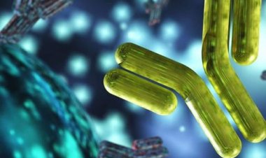 باوەڕ و متمانە بە خودا سیستەمی بەرگری لە مرۆڤدا بەهێز دەکات