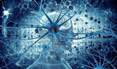 The perfect Design of Nervous System Part 5