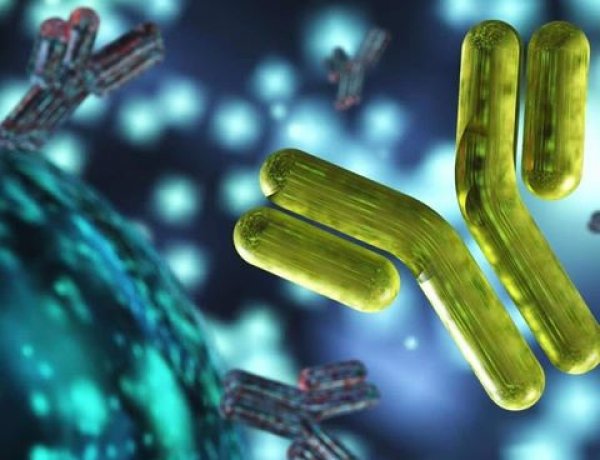 باوەڕ و متمانە بە خودا سیستەمی بەرگری لە مرۆڤدا بەهێز دەکات