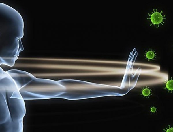 هل للقرآن الكريم تأثيرٌ على تقوية مناعة الإنسان