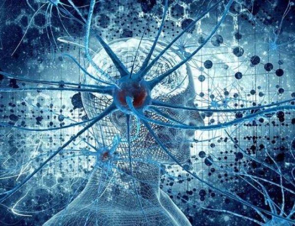 The perfect Design of Nervous System Part 5