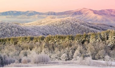 لە نیشانەكانى "بوون" و "یەكتایى" بەدیهێنەر: نیشانە بەڵگەبەخشەكان 