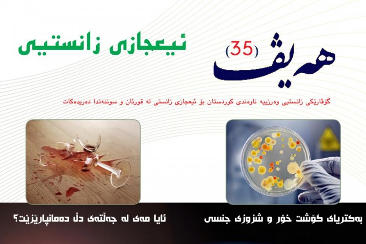 گۆڤاری هەیڤ ٣٥ (pdf)