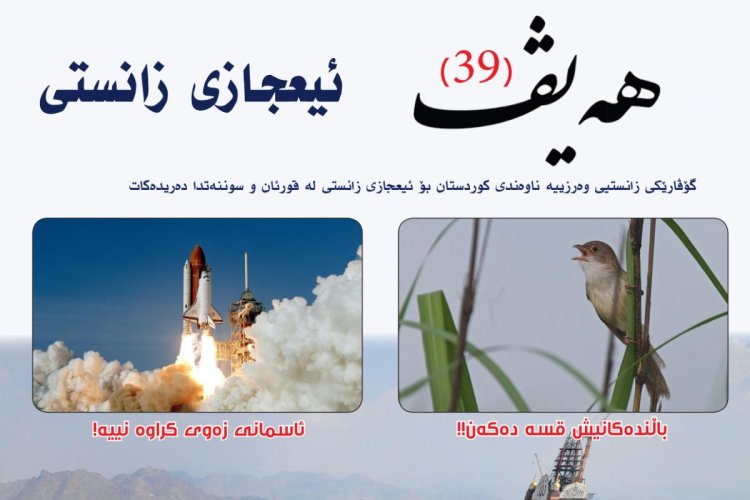 گۆڤاری هەیڤ ٣٩ (pdf)