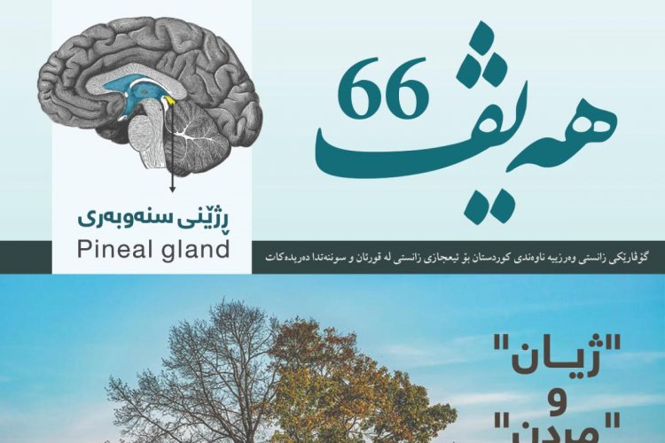 گۆڤاری هەیڤ ٦٦ (pdf)