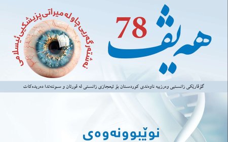 گۆڤاری هەیڤ ٧٨ (pdf)